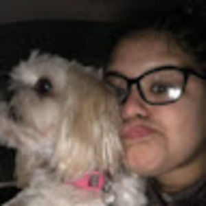 Meet your Posher, Sofia